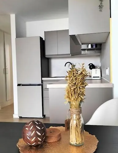 Luxury Penthouse Valentin With Jacuzzi