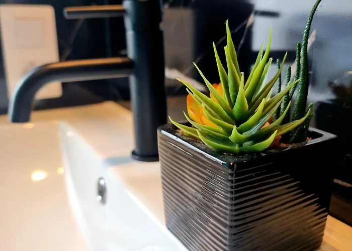 Luxury Penthouse Valentin With Jacuzzi