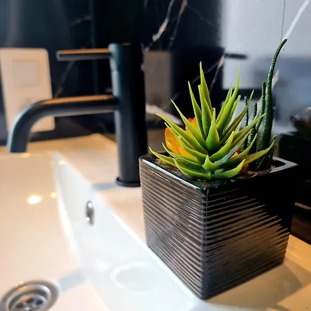 Luxury Penthouse Valentin With Jacuzzi